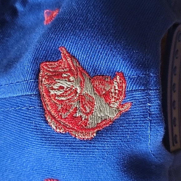 Unique Bass Pro Shops Snapback Blue Hat Red Gray Embroidered Flames & Stars RARE - Picture 8 of 8
